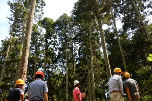 森林経営管理技術者養成研修第25回研修レポート